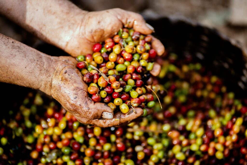 fairtrade koffie